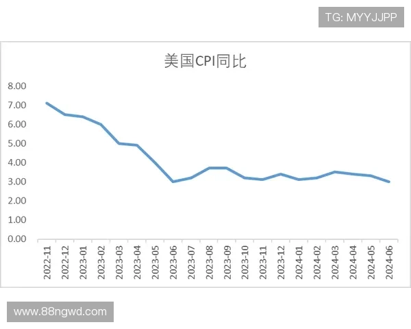 2025年白菜今天批发价格走势分析与预测
